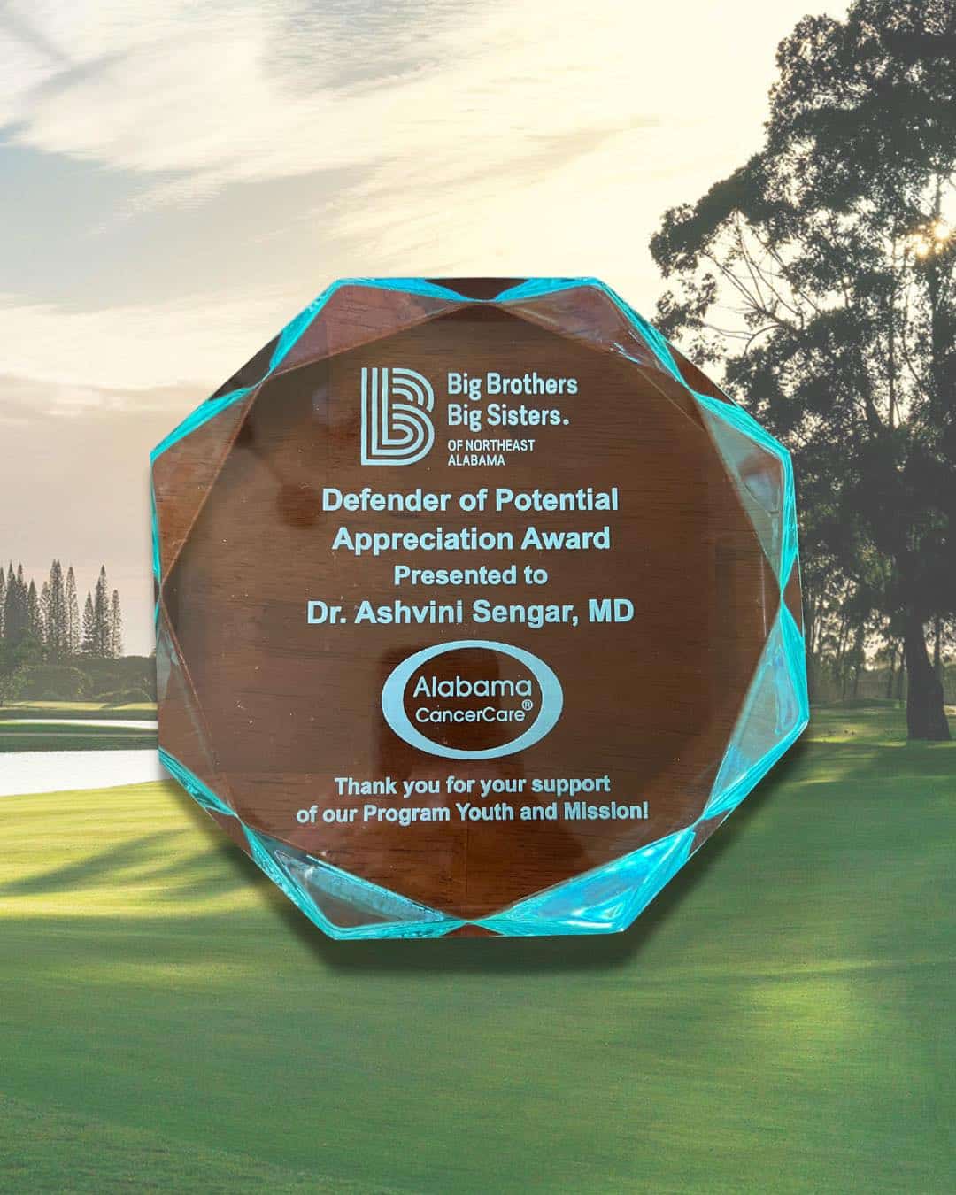 An award showing Dr. Ashvini Sengar as Defender of Potential appreciation award from the Big Brothers Big Sisters of Northeast Alabama